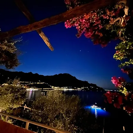 Starfish House *